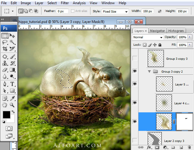 hippo, photoshop, nest, egg, shell, flying hippo, cute, baby, wings, hippopotamus, feathers